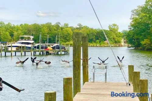 Waterfront Home With Boat Dock & Study - Image 1
