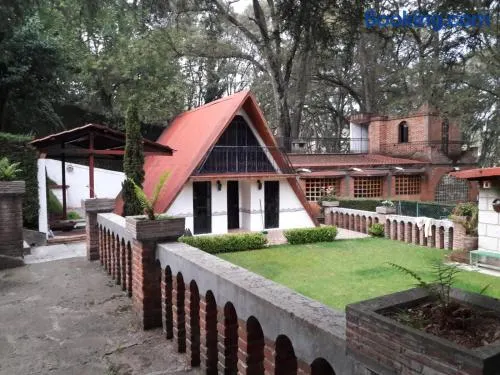 Cabaña de bosque con alberca - Image 1