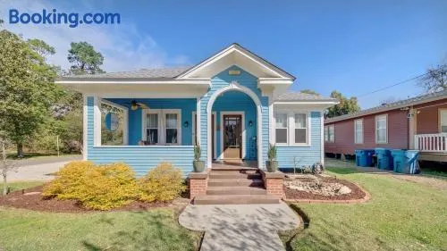 The Blue House -Historic-Updated-Walkable - Image 1