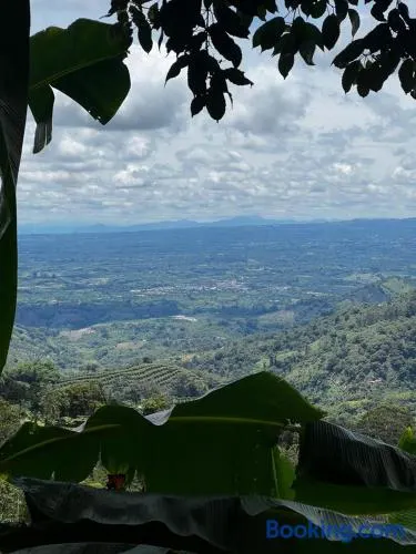 Montecanto - Image 1