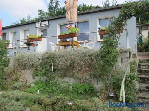zum Wiesengrund im Oderbruch - Image 1