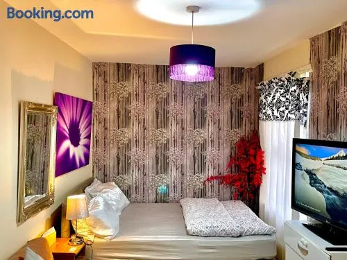 Comfy Double bedroom with a Private Toilet - Image 1