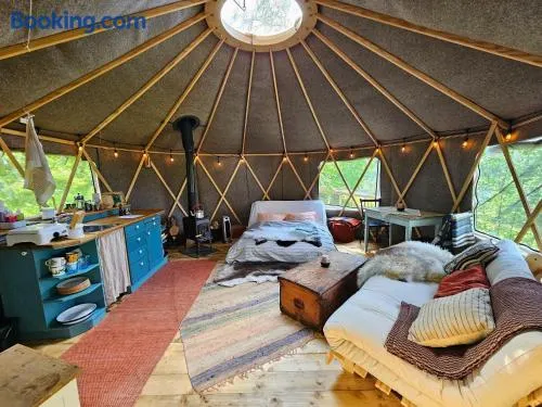 Cozy yurt on regenerative farm - Image 1