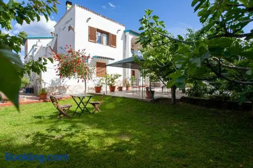 Camere Tirreno 1 - Image 1