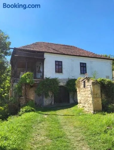 Country house pivnica Milic Rogljevo - Image 1
