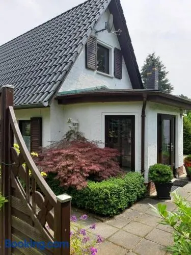 gemütliches Ferienhaus in Seenähe - Image 1