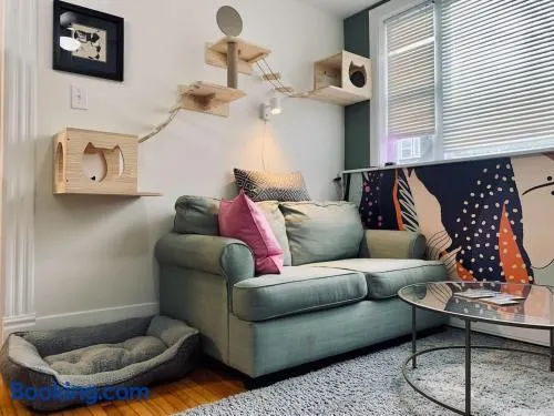 Pet-Friendly Lovely Studio #2 at Doggy Digs, Balcony - Image 1