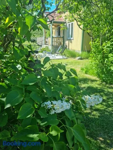 Charmigt hus på landet nära till bad - Image 1