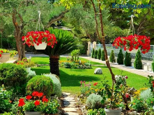 Guest House Antonia - Image 1