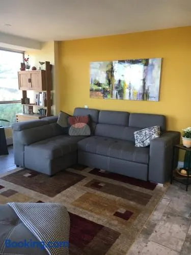 Hamilton condo, close to Toronto and Niagara Falls - Image 1