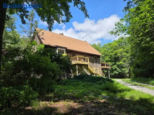 Highlands Hideaway - Secluded 4BR Forest Gem - Image 1