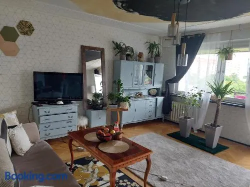 Alterra Apartment,13 legionowa street, flat, mieszkanie 41 - Image 1