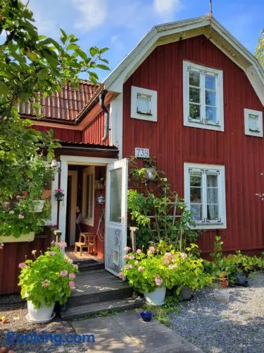Mysigt rum med lantligt läge i privat bostad med katter - Image 1