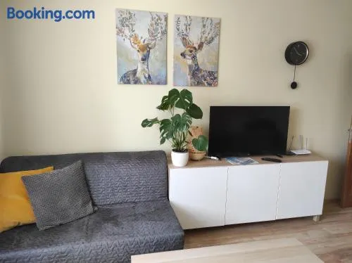 Apartment Paula - Image 1