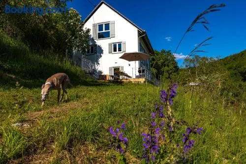 Freistehendes Ferienhaus mit Kamin, Sauna, atemberaubenden Blick ins Tal, mehrere Terrassen, 1500qm Grundstück 1,6m hoch eingezäunt - Image 1