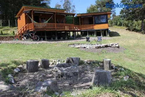 Cielo Verde Wood House - Image 1