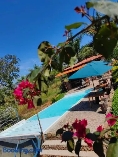 Villas del bambú - Image 1