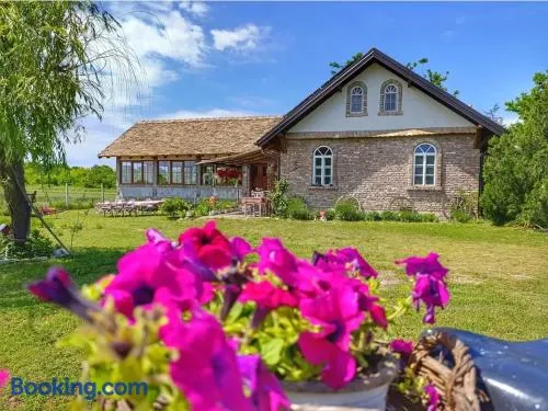 Tetrebov salas in the peaceful fields - Image 1