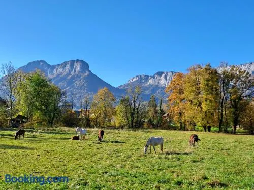 L'Appart des Grands Prés à Doussard entre Lac et Montagnes - Image 1