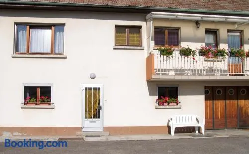 Maison enchanteur à Berrwiller avec jardin paisible - Image 1