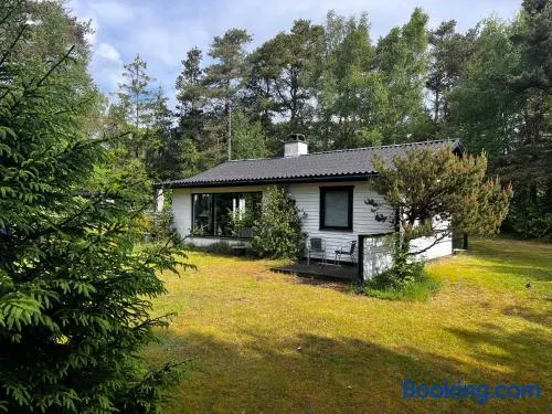Cozy And Updated House On Large Private Lot - Image 1