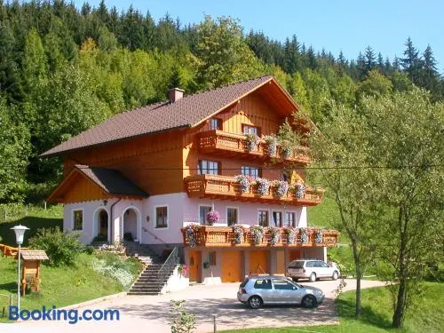 Urlaub am Bauernhof bei Familie Steinbrecher - Image 1