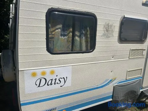 Daisy Kamper - Image 1