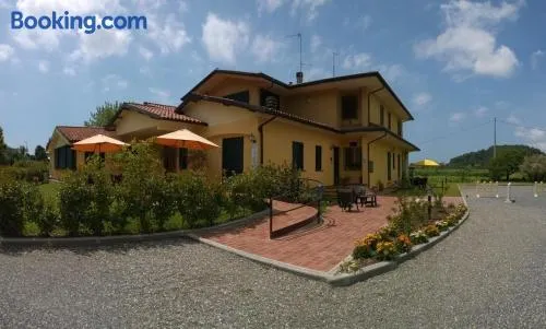 Cecco di Nara - Image 1