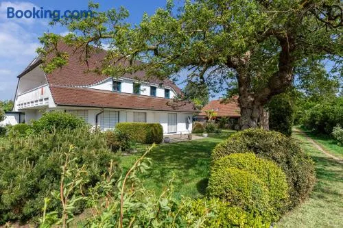 Boddenstern - Image 1