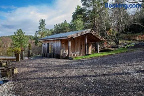 studio in the wood - Image 1