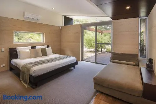 Selador - Image 1