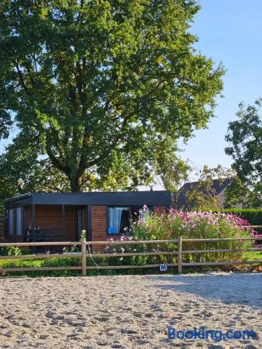 Houten huisje tussen paarden - Image 1