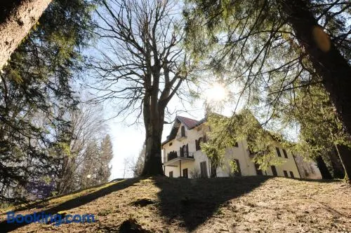 Little House - Image 1