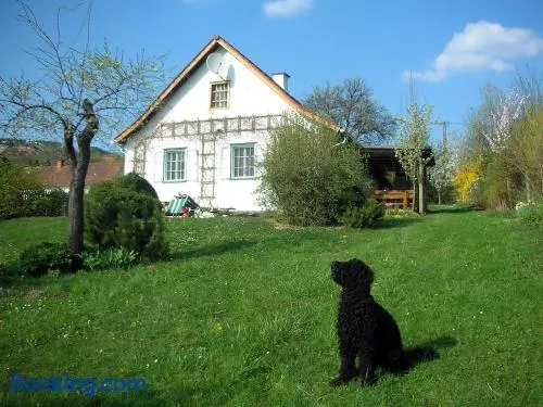 Beim Schachnerhaus - Image 1