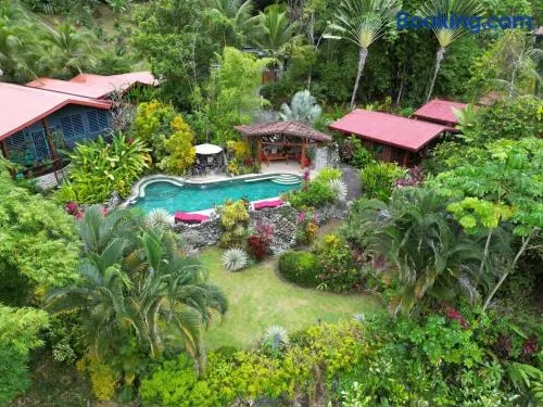 Toucan Villa -riverfront With Pool & Near A Beach - Image 1