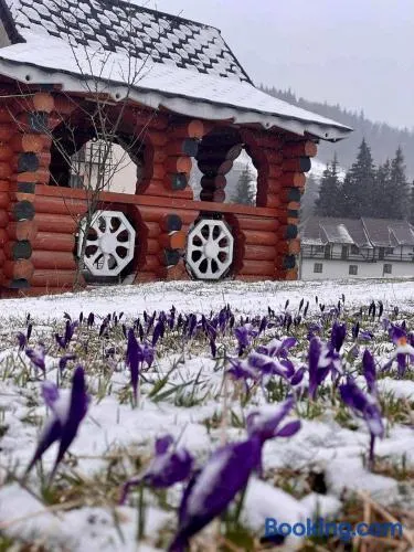 Sadyba u Halyny - Image 1