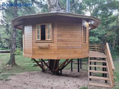 Casa na Árvore - Chalé Quemeninho - Image 1