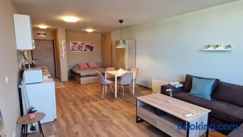 Cosy n fully equipped studio - Image 1