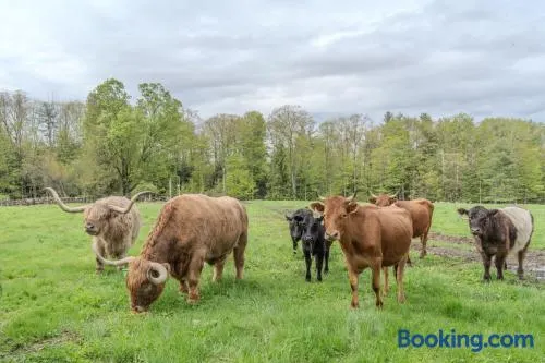 Wake Up to Highland "Coos" - Cozy Farm Suite with Panoramic Views - Image 1