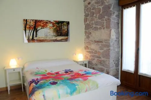 Apartamentos Elizondo - Image 1
