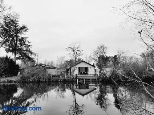 Rustig gelegen chalet Kapeki met tuin aan het water - Image 1