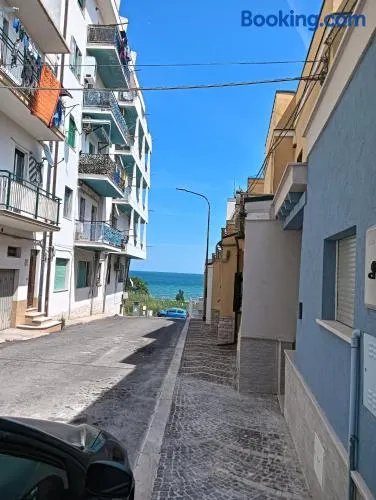 Il Timone - Image 1