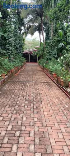 Tavaru home stay - Image 1