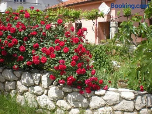 Apartmani Mediteran - Image 1