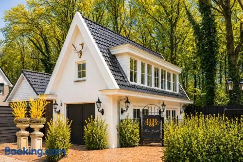 B&B Huisje Schaufeli - Image 1