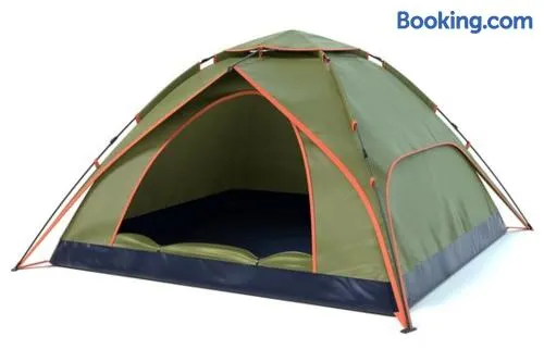 Top Campsite at Desert Gardens Oasis in Lobo, TX - Image 1