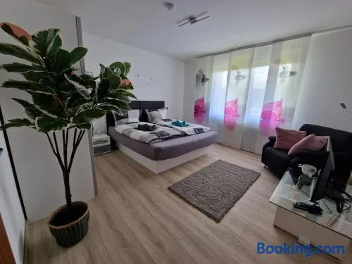 Ferienwohnung Starennest mit direktem Harzblick - Image 1