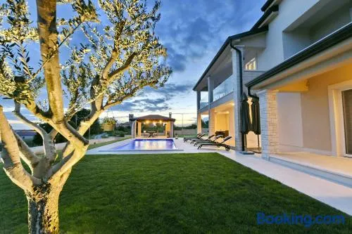Belvedere - Image 1