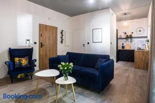 Apartament Parkowy przy Stadionie Śląskim Katowice Chorzów - Image 1