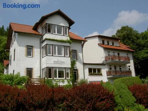 Pension Waldesblick - Image 1